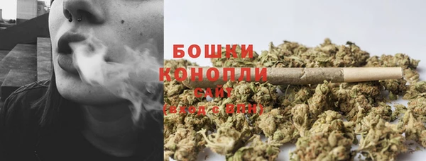 твердый Осинники