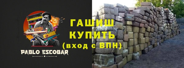 шишки Осташков