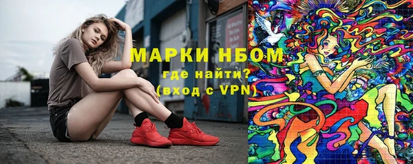 твердый Осинники
