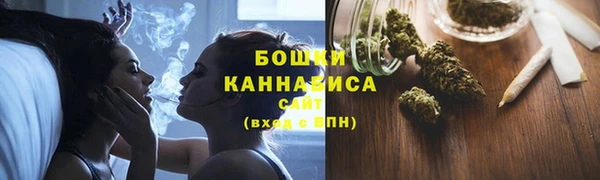 шишки Осташков