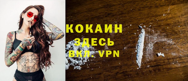 шишки Осташков