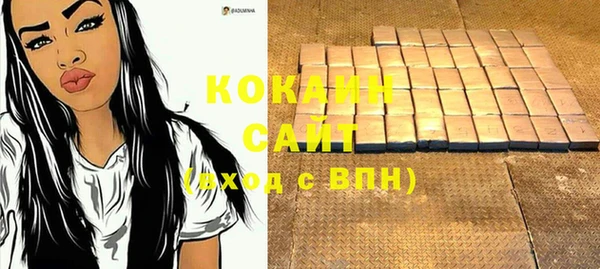 шишки Осташков