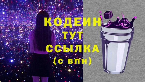 шишки Осташков