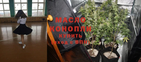 шишки Осташков