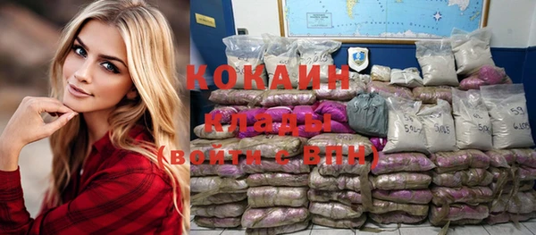 твердый Осинники