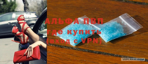 шишки Осташков