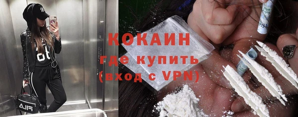 твердый Осинники