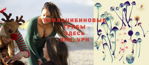 шишки Осташков