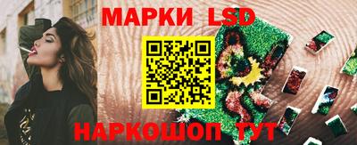 Альфа ПВП Донецк