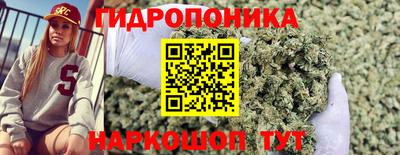 тгк Дубна