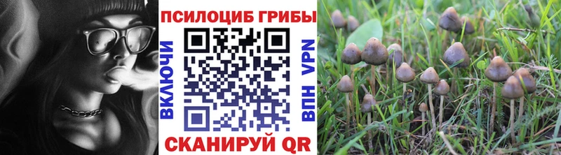 где продают наркотики  Ногинск  гидра сайт  Псилоцибиновые грибы прущие грибы 