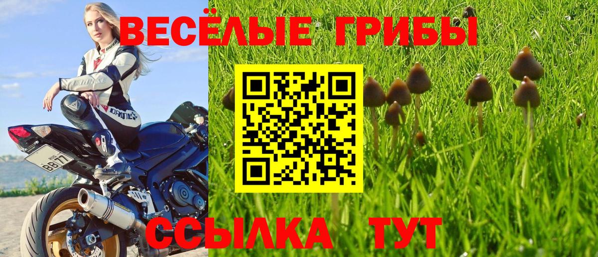 Псилоцибиновые грибы прущие грибы  Ногинск 