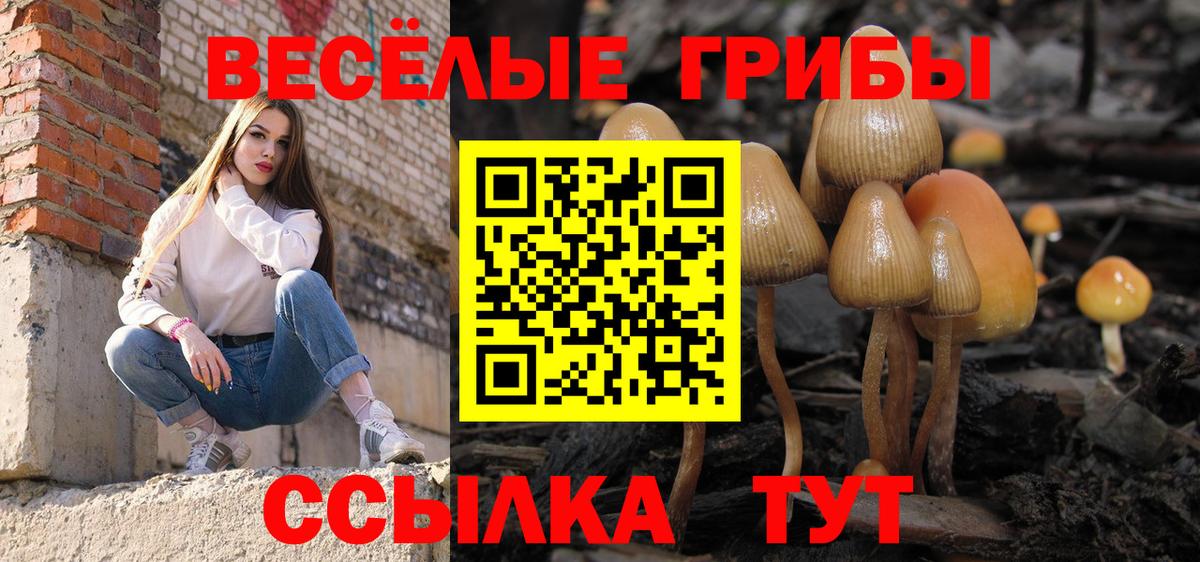 Галлюциногенные грибы GOLDEN TEACHER  Вход с VPN  Псилоцибиновые грибы Magic Shrooms  Ногинск 