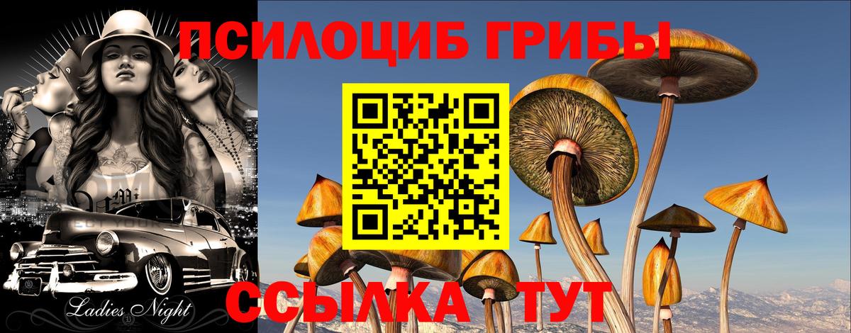 Галлюциногенные грибы Cubensis Ногинск